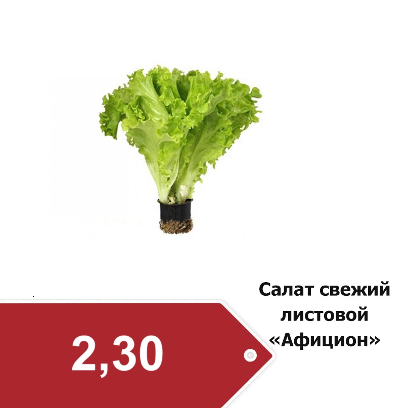 салат 2-30.jpg