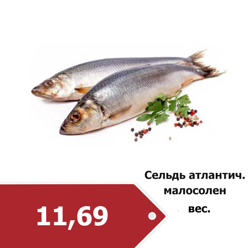 87cceb37ca973a0c2eb1ec9a5943de20.jpg