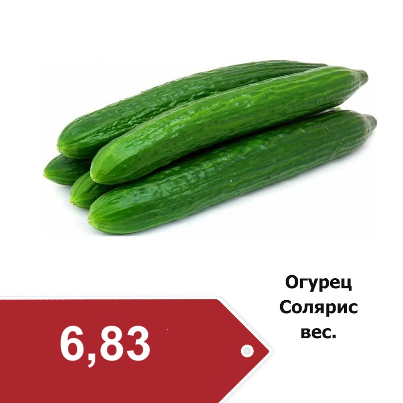 огурец Салярис 6-83.jpg
