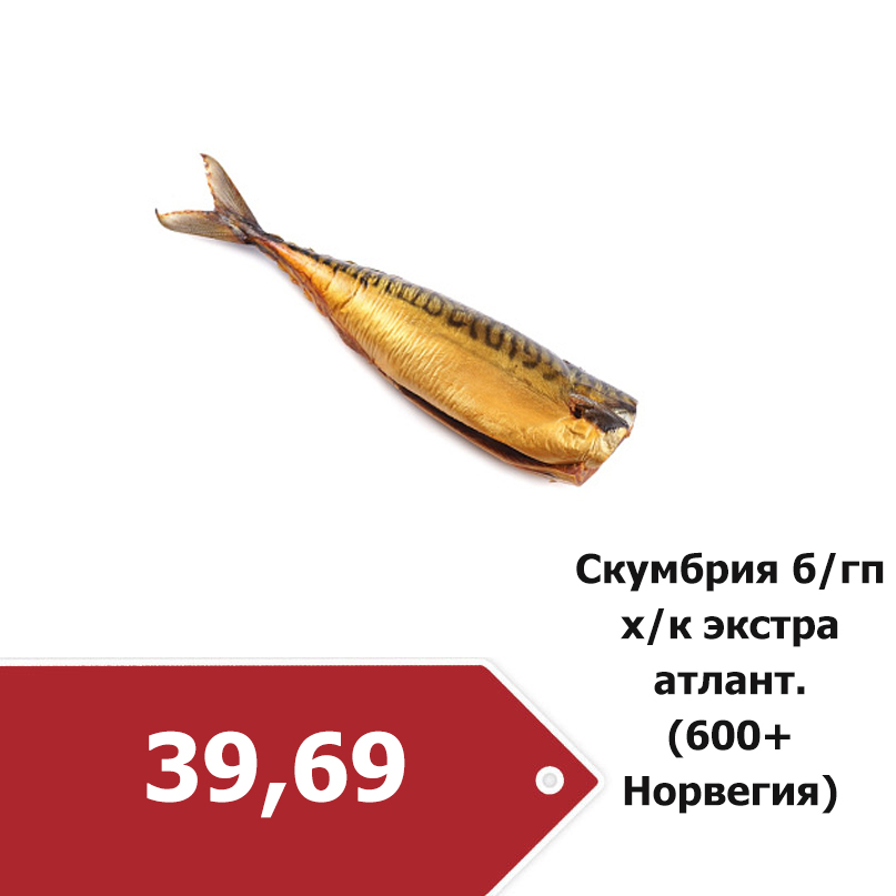 скумбрия хк.jpg скумбрия хк.jpg