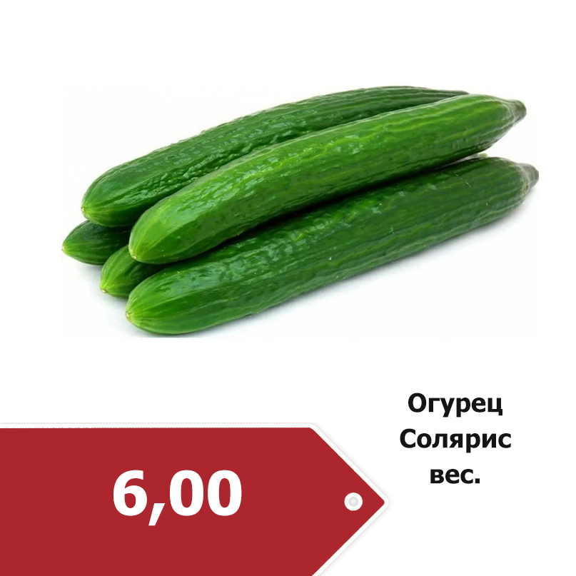 огурец 6-0.jpg