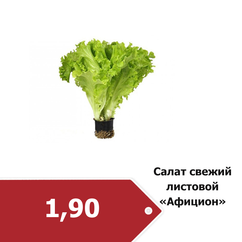 салат1-9.jpg