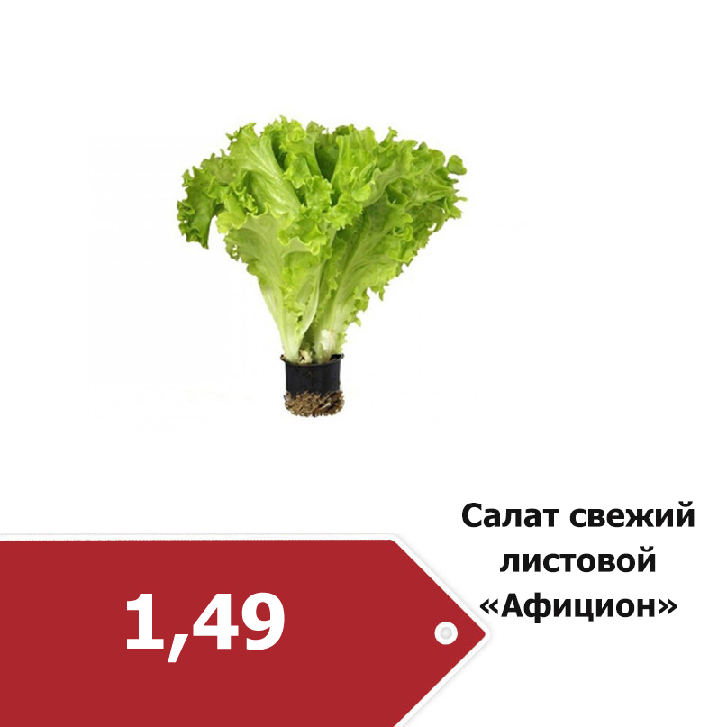 салат 1-49.jpg
